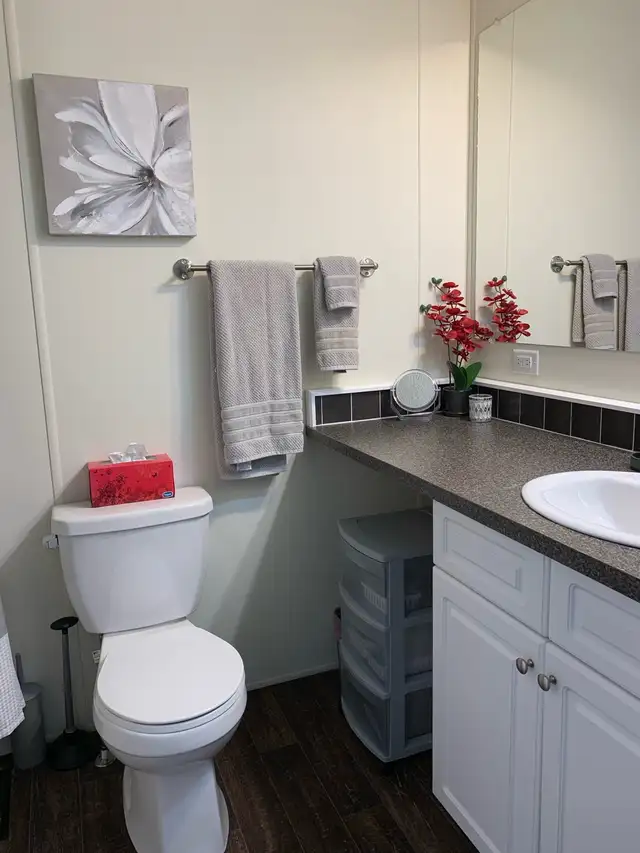 Estevan Fully Furnished Rental - Photo 8