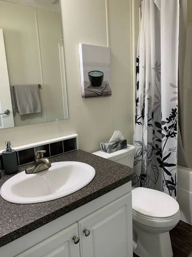 Estevan Fully Furnished Rental - Photo 10