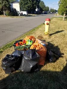 JUNK REMOVAL AT BEST PRICE