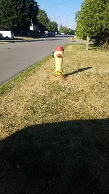 JUNK REMOVAL AT BEST PRICE - Photo 2