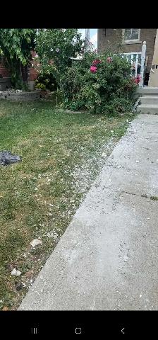 JUNK REMOVAL AT BEST PRICE - Photo 10