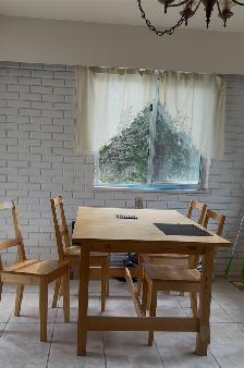 UBC Summer Sublease (rent negotiable!) - Photo 8