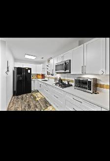 one bedroom basement  available - Photo 3