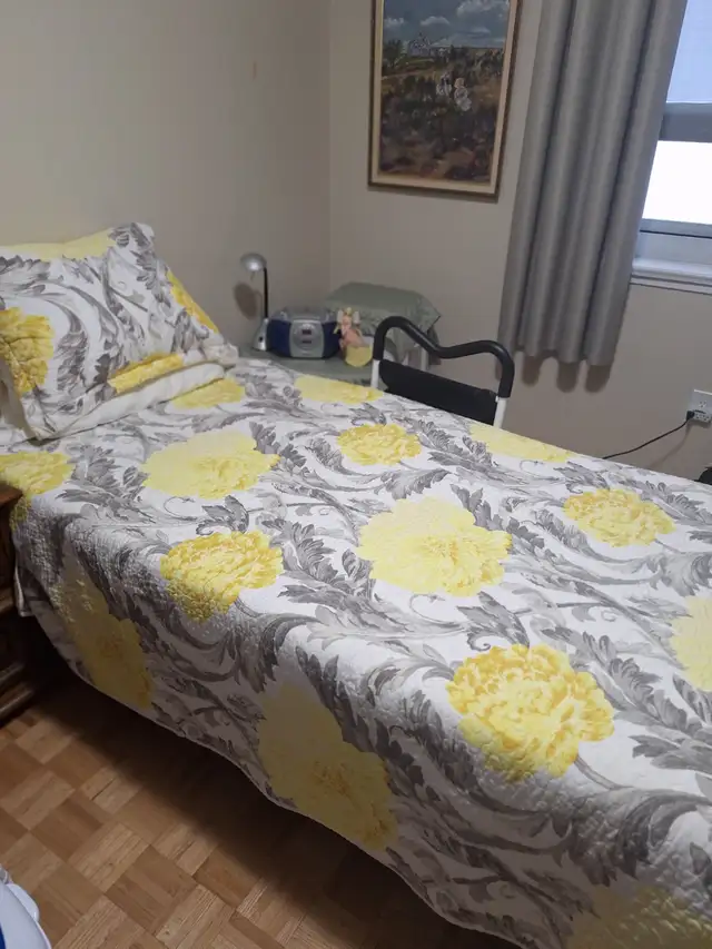 Electric Bed