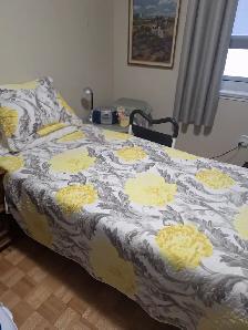 Electric Bed