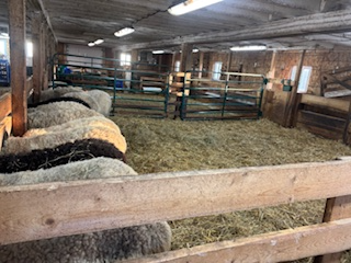 GRANGE A LOUER 42X86 PIEDS / POUR VACHE OU AUTRE - Photo 2