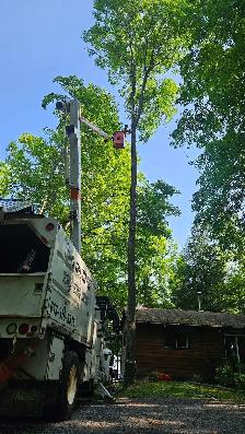 Ivan's Tree Service