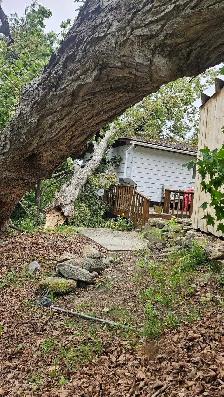 Ivan's Tree Service - Photo 2