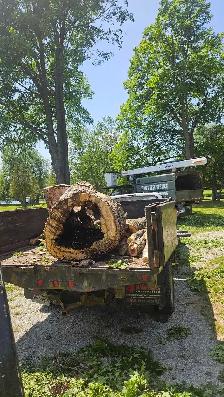 Ivan's Tree Service - Photo 3