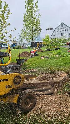 Ivan's Tree Service - Photo 6