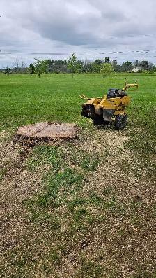 Ivan's Tree Service - Photo 10