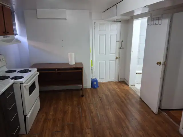 One Bachelor Bedroom Basement Apartment Available In Malton NOW! - Photo 3