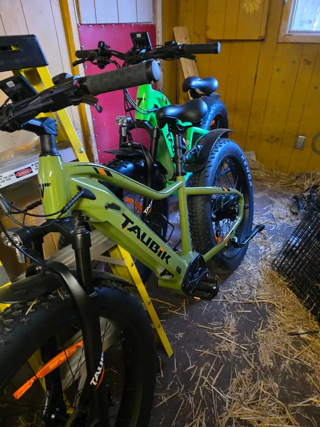 Taubik e bikes - Photo 2