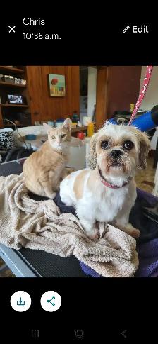 Psychic Readings - Photo 4