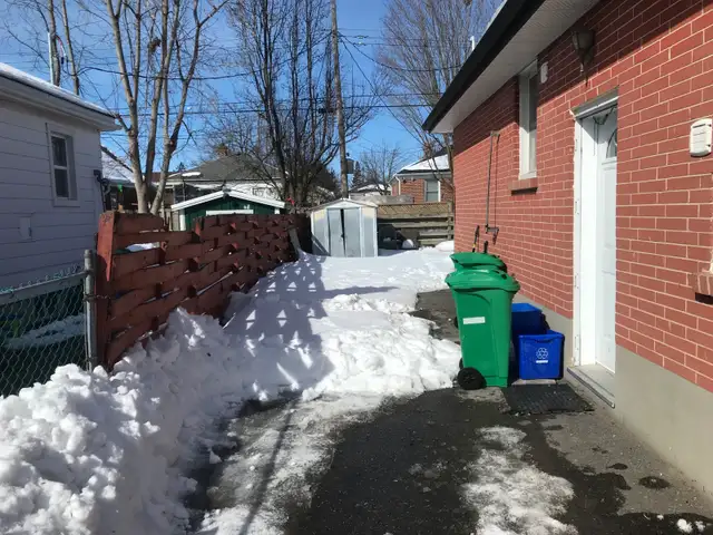 blizzard and bloom services