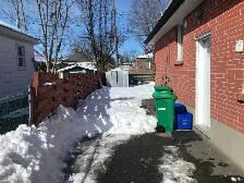 blizzard and bloom services