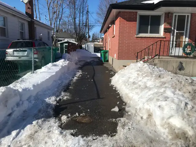 blizzard and bloom services - Photo 2