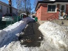 blizzard and bloom services - Photo 2