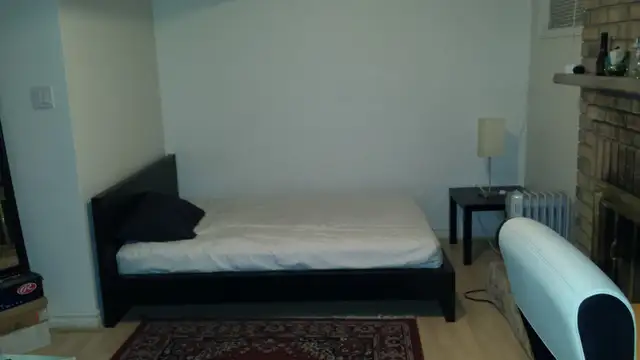 Batchelor basement apartment in Thornhill - Photo 3