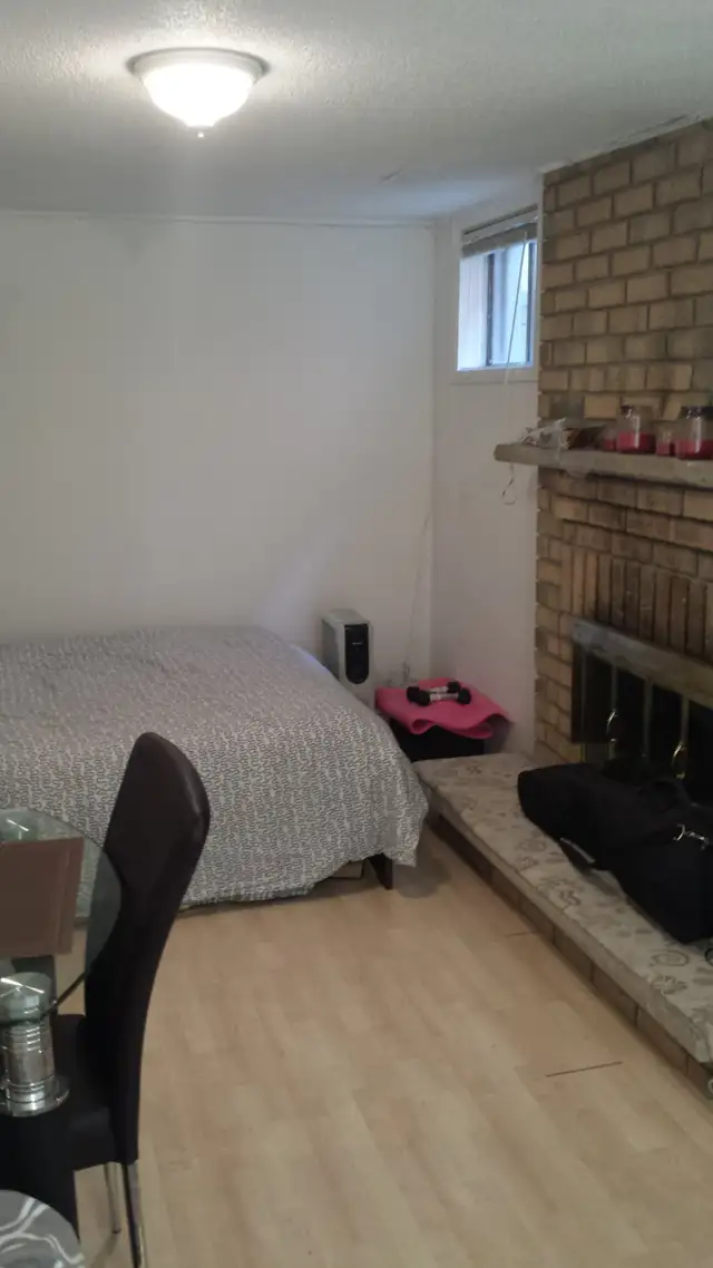 Batchelor basement apartment in Thornhill - Photo 4