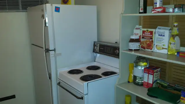 Batchelor basement apartment in Thornhill - Photo 8