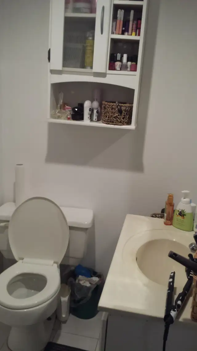 Batchelor basement apartment in Thornhill - Photo 10