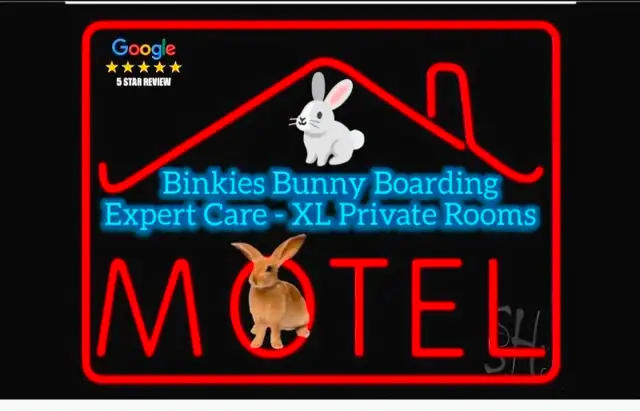 Rabbit Boarding & Training . XXL Private Rooms. 24/7 Love  Care