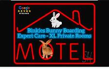 Rabbit Boarding & Training . XXL Private Rooms. 24/7 Love  Care