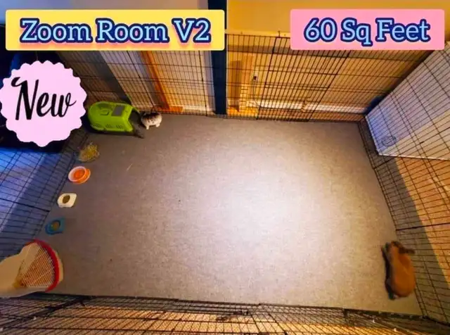 Rabbit Boarding & Training . XXL Private Rooms. 24/7 Love  Care - Photo 2