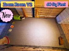 Rabbit Boarding & Training . XXL Private Rooms. 24/7 Love  Care - Photo 2