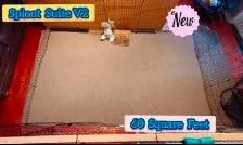 Rabbit Boarding & Training . XXL Private Rooms. 24/7 Love  Care - Photo 3