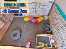 Rabbit Boarding & Training . XXL Private Rooms. 24/7 Love  Care - Photo 5