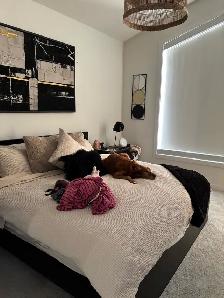 move out-I beat cleaning company prices - Photo 2