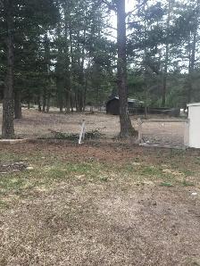 5 Acres, 3 Bedroom Home for Lease - Photo 10