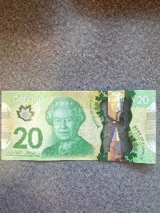 Looking for cash job