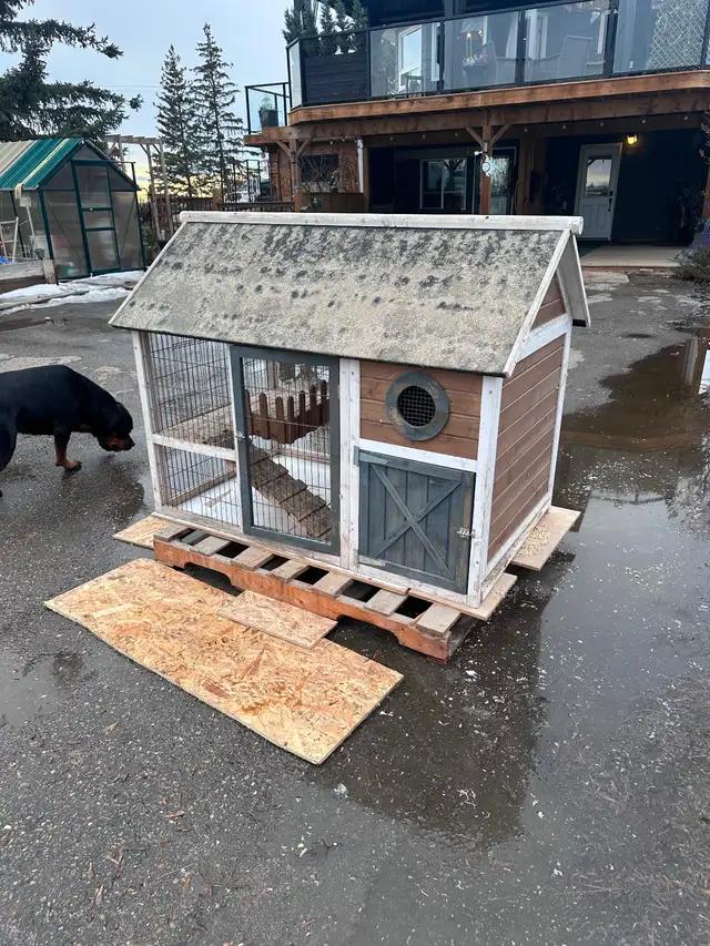 Chicken House - Photo 5