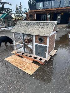 Chicken House - Photo 5