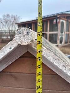 Chicken House - Photo 8