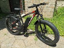 Bicycle electric