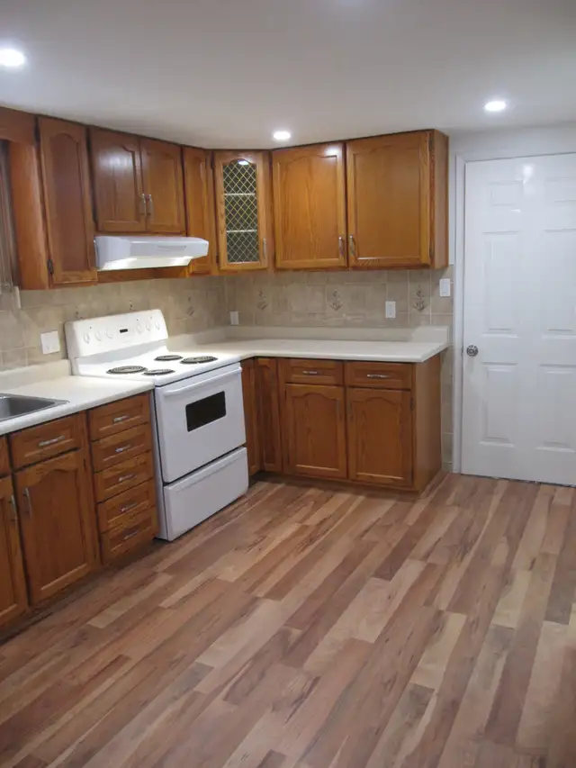 1 BEDROOM BASEMENT APARTMENT IN EAST GALT AVAILABLE - Photo 3