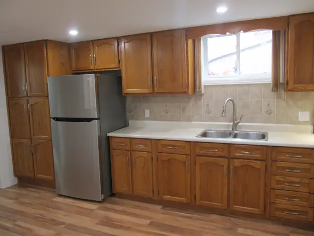 1 BEDROOM BASEMENT APARTMENT IN EAST GALT AVAILABLE - Photo 4