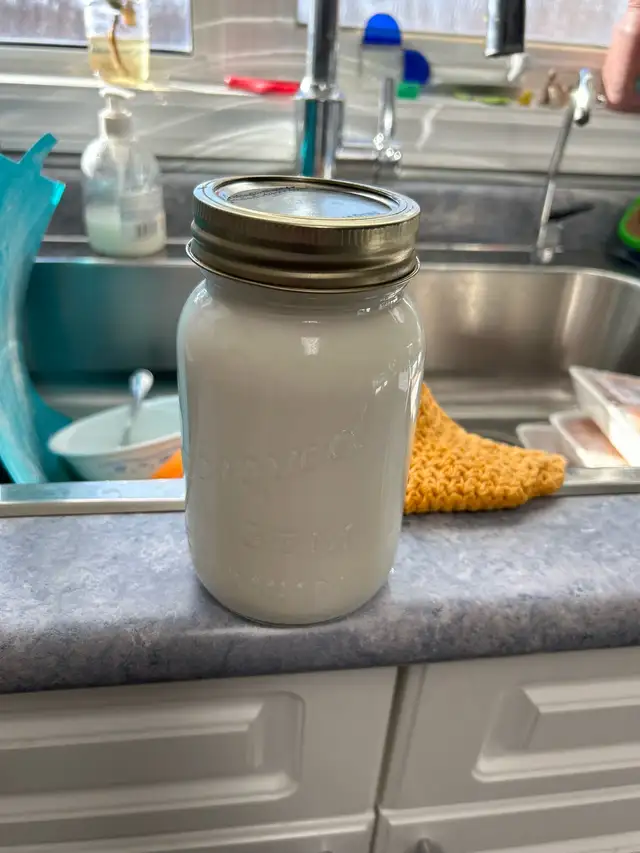 Milking Goat for Sale - Photo 2