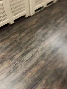 spring cleanup - Photo 9