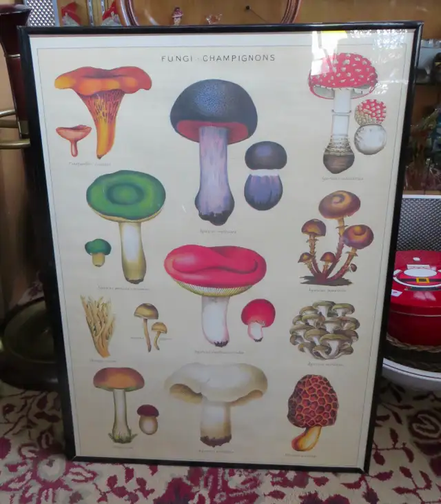 PAST and PRESENT ANTIQUES - INDUSTRIAL  CART - COFFEE TABLE - Photo 5