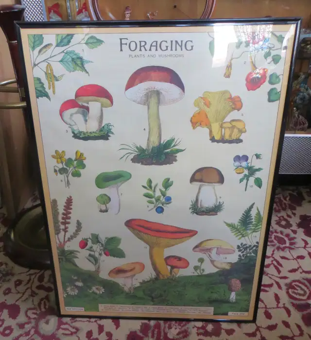 PAST and PRESENT ANTIQUES - INDUSTRIAL  CART - COFFEE TABLE - Photo 6