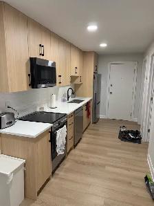 Summer Sublet 2 Bedroom (Sandy Hill)