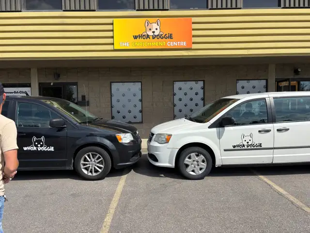 Dog Daycare Centre - Photo 3