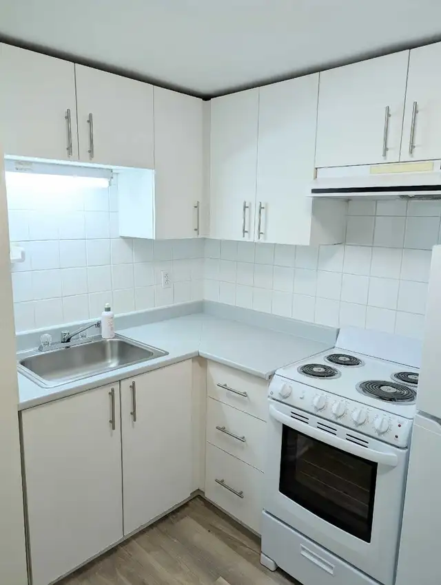 1 Bedroom Apartment Downtown (Unit 2 Duplex) - Photo 3