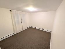 1 Bedroom Apartment Downtown (Unit 2 Duplex)