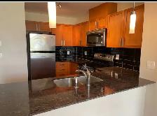 1 BR and a Den  for Rent